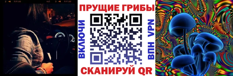 kraken как войти  магазин    Нурлат  Псилоцибиновые грибы GOLDEN TEACHER 