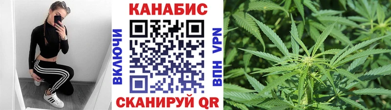 Канабис гибрид  Нурлат 